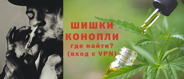 крисы Баксан
