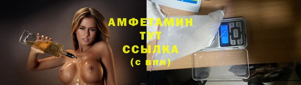 крисы Баксан