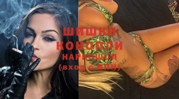 крисы Баксан