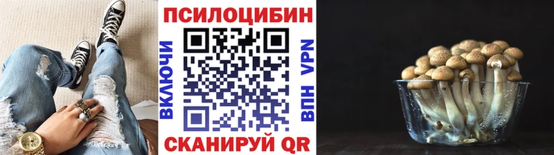 Псилоцибиновые грибы Psilocybine cubensis Купить Богучар